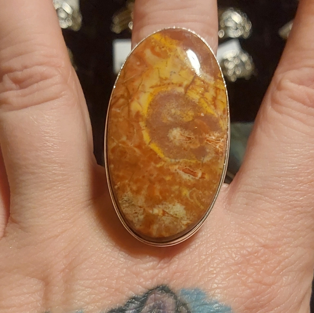 Enormous Bird's Eye Jasper Ring - Picture 5 of 7